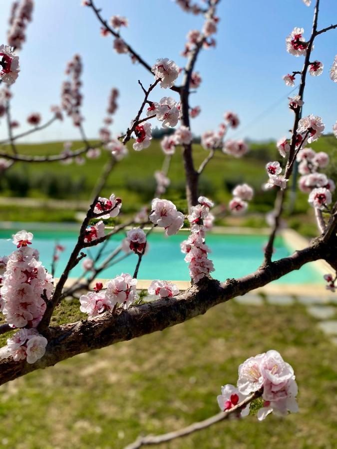 B&B Monte Di Bu Bagno Roselle Exterior photo