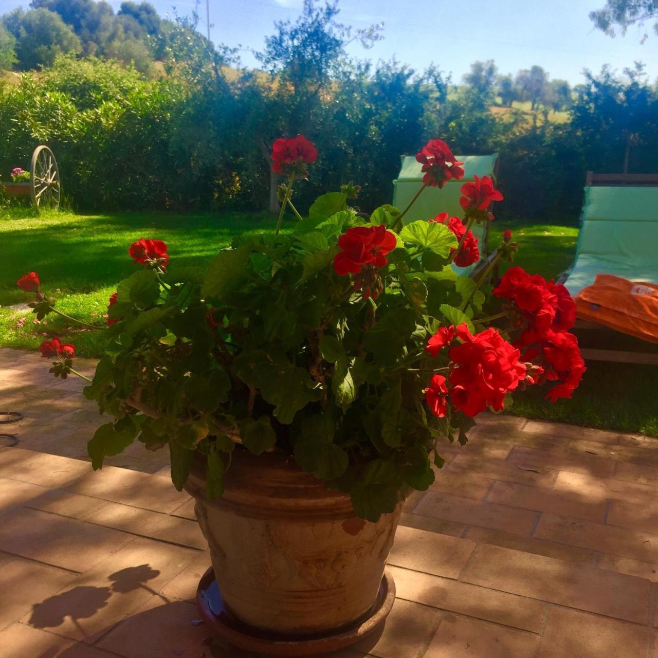 B&B Monte Di Bu Bagno Roselle Exterior photo